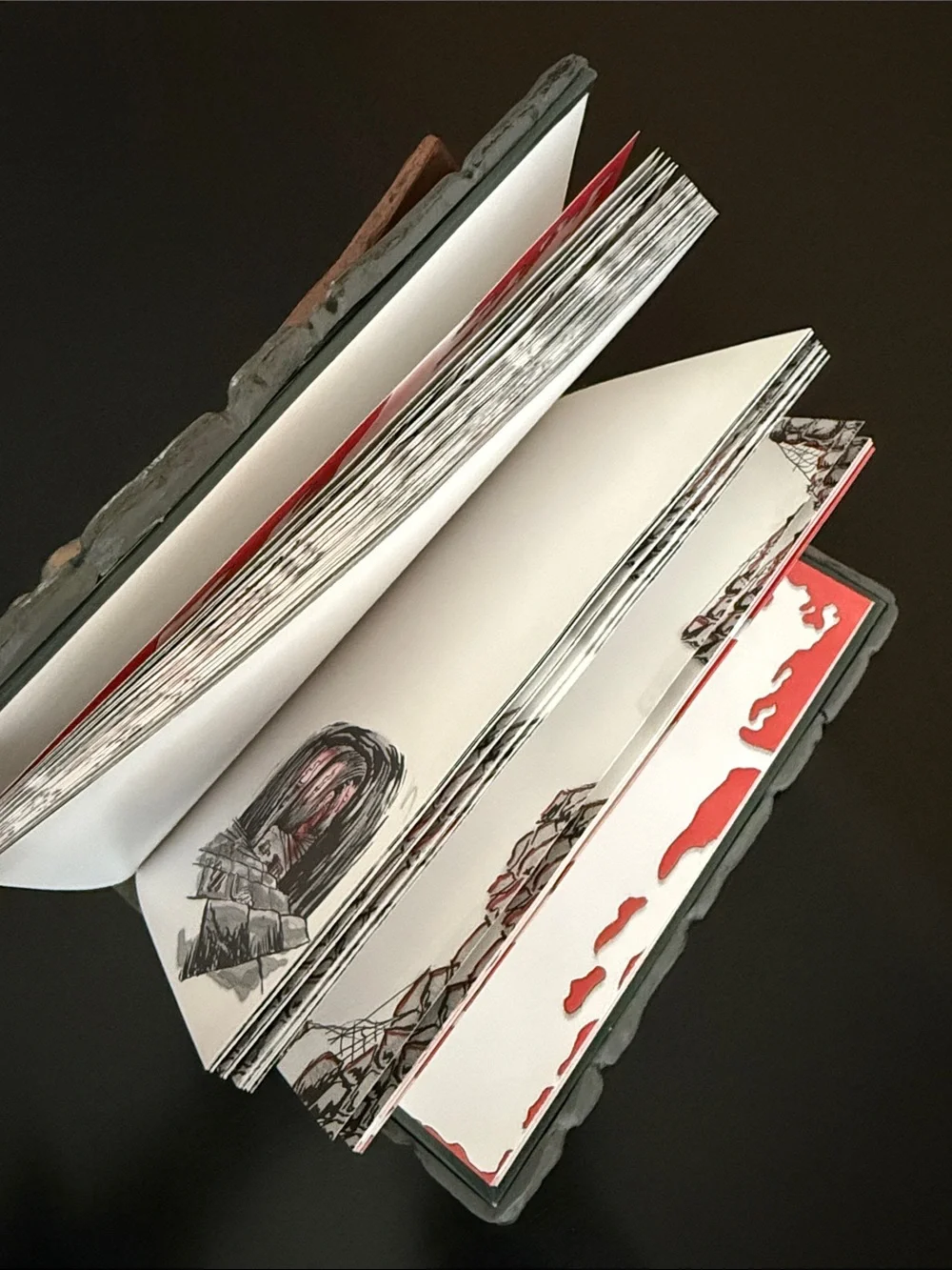 Vampires The Journal 3-D Running Press